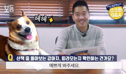 강아지가 산책 중 뒤 돌아보는 이유 | 인스티즈