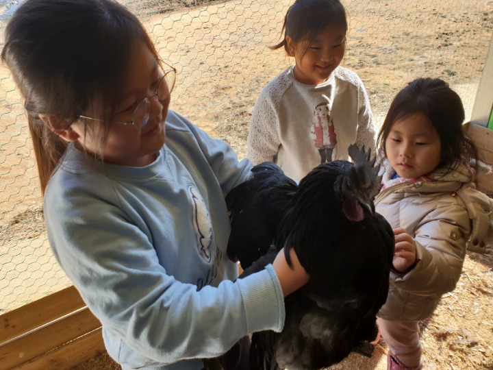 오늘도삼겹 이미지