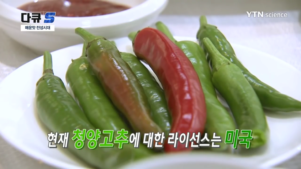 먹을 때마다 외국에 돈 줘야 하는 의외의 식품 | 인스티즈