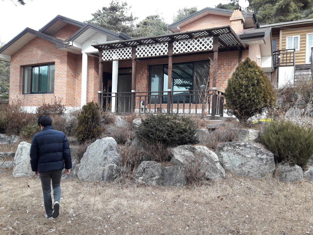 예쁜소나무 이미지