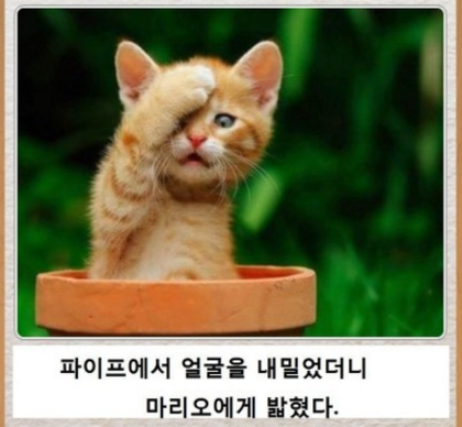 제목학원 레전드 모음 (귀여운것들 섞여잇음) | 인스티즈