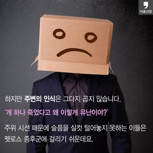 처음 반려동물 키우기 시작했을 때 너무 좋고 예뻐서 생각하지 못하는 것.jpg | 인스티즈