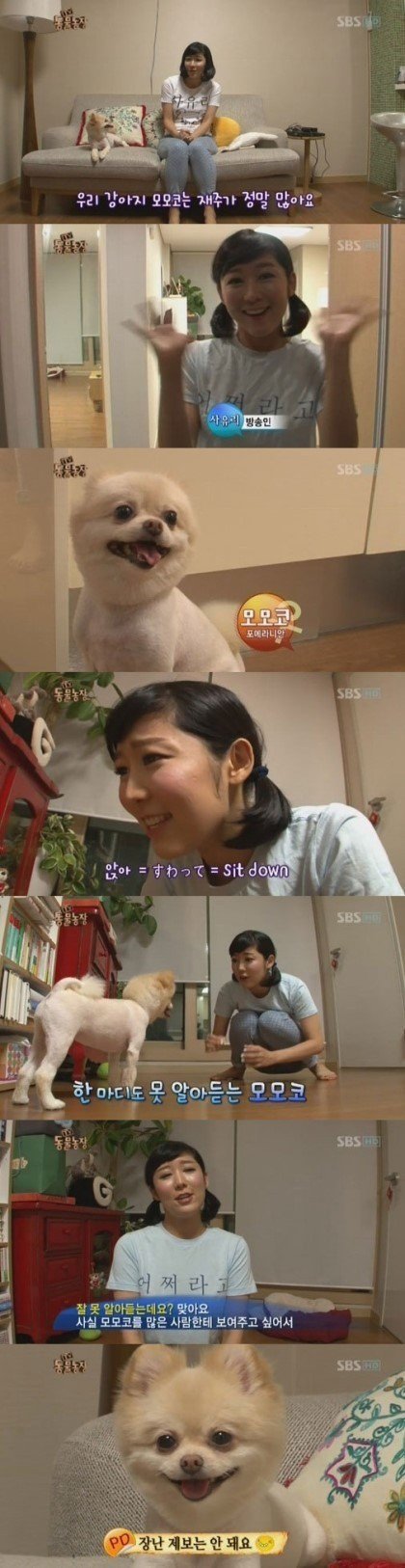 동물농장 제보자 레전드.jpg | 인스티즈