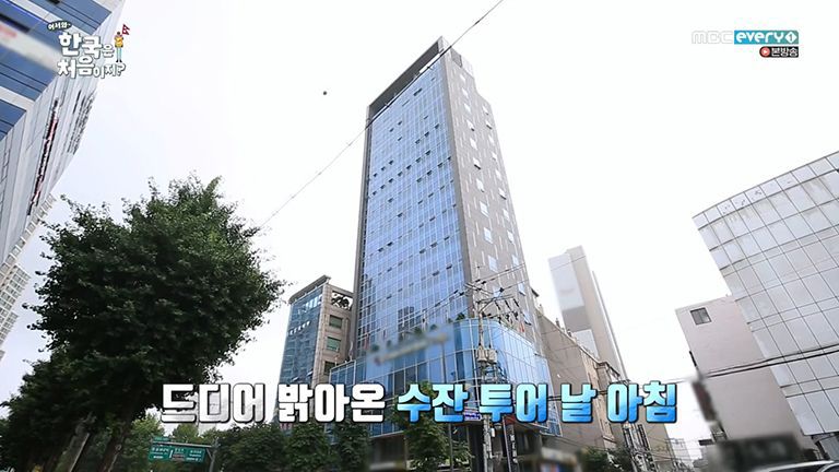 [어서와한국은처음이지2] 가족들 맞춤으로 세심하고 센스있게 여행 코스 계획한 수잔 | 인스티즈