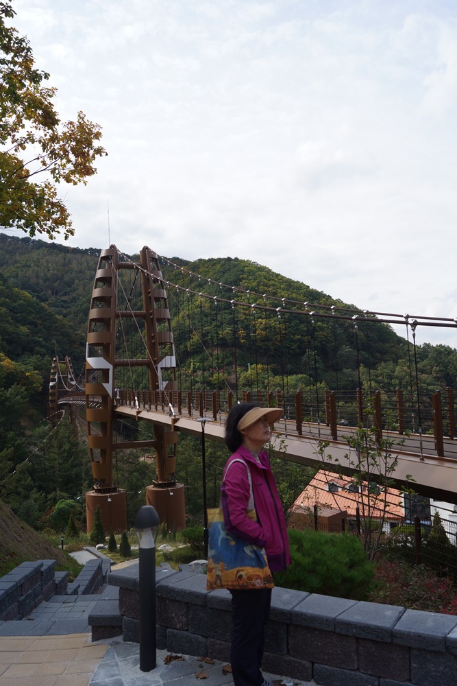 좌구산자연휴양림 이미지