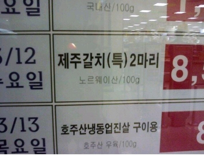 이중국적 갈치.jpg | 인스티즈