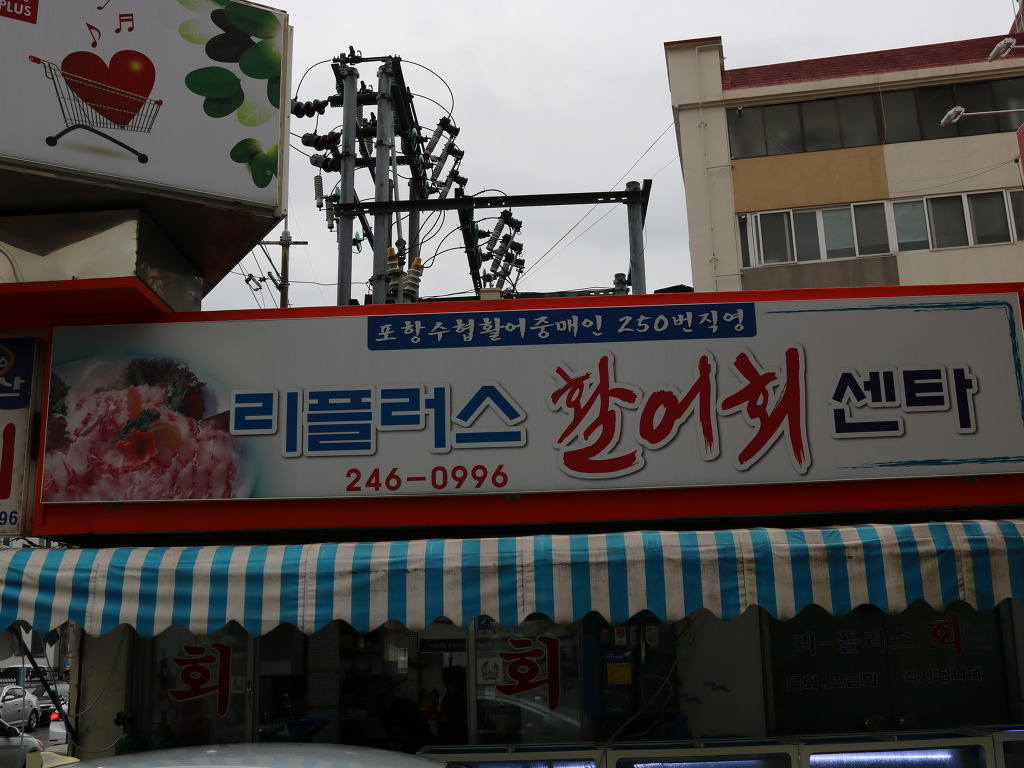 리플러스 이미지