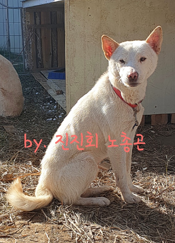 같이 이미지