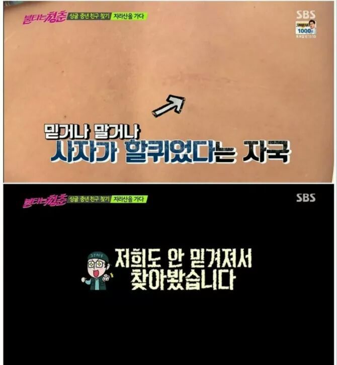 허언인줄 알았는데 허언이 아닌 이야기 모음 | 인스티즈