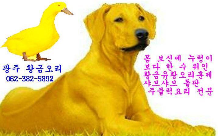 별난오리 이미지