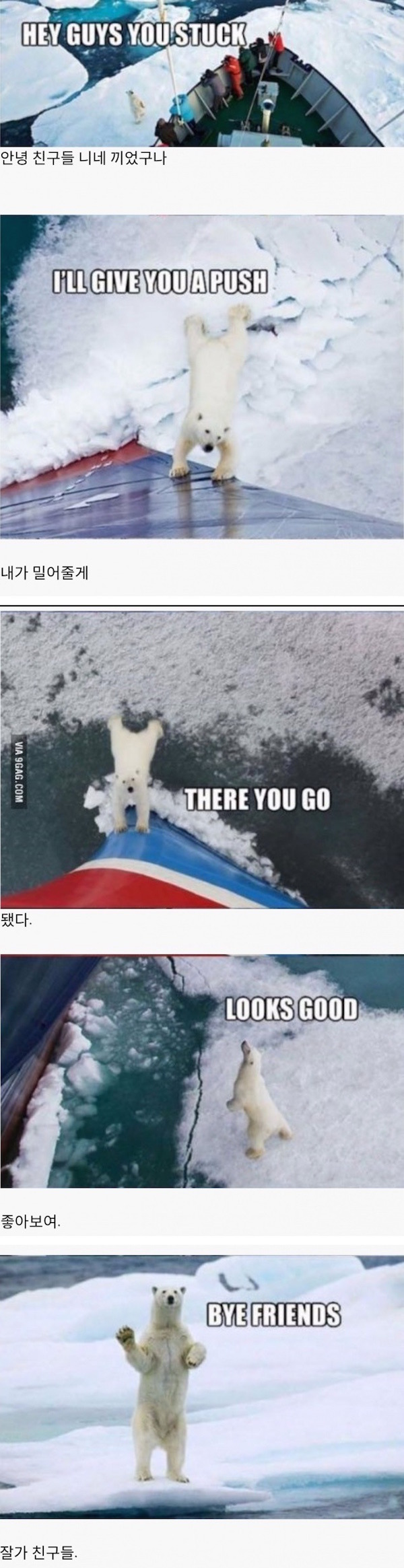 착한 북극곰.jpg | 인스티즈
