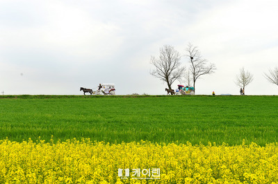 초록밭 이미지