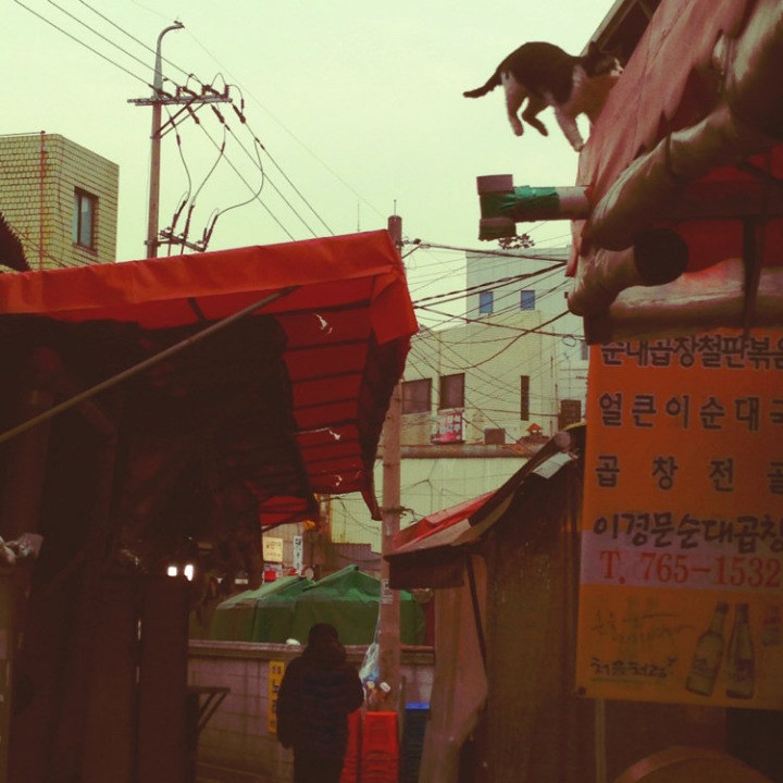 모 일본 커뮤에서 게시된 여러 한국 여행지 | 인스티즈