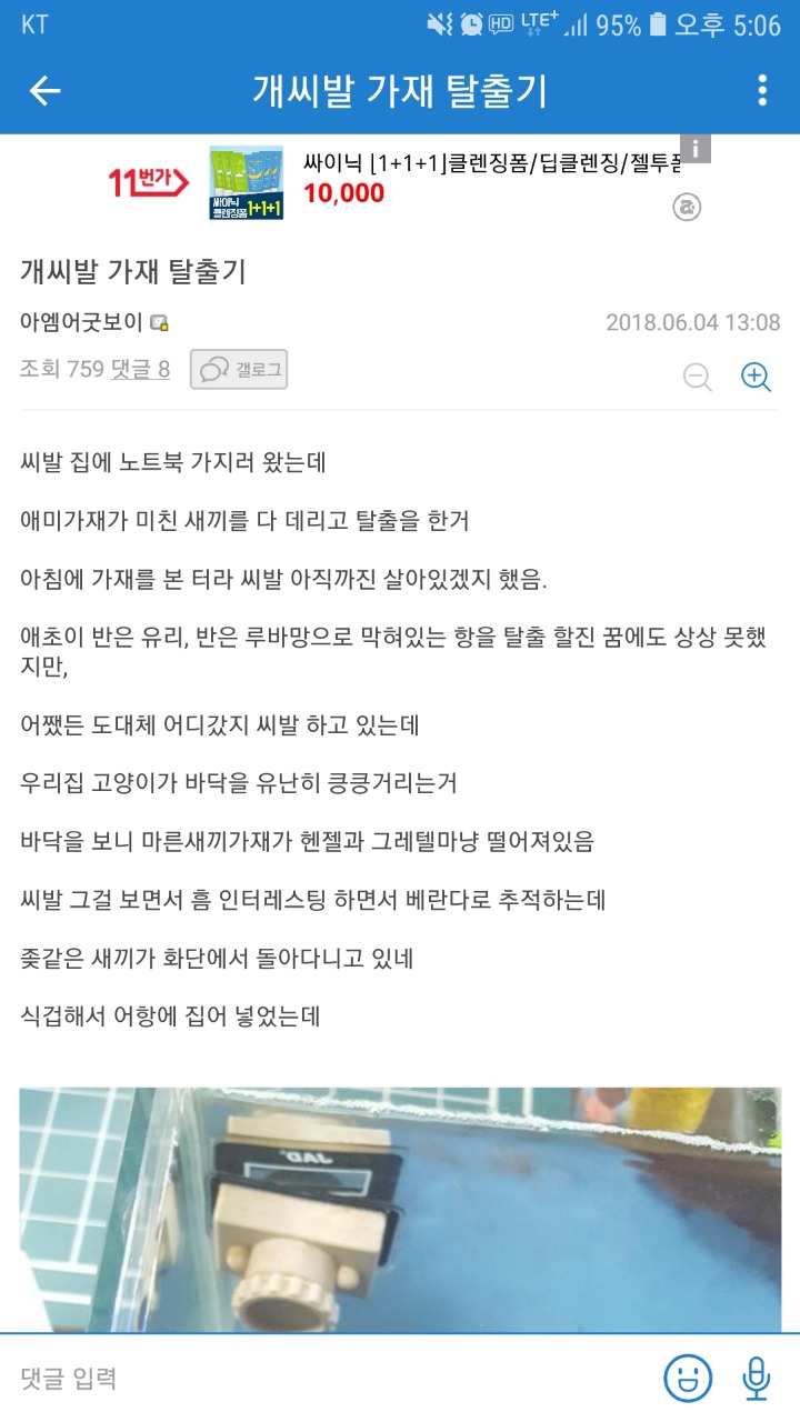 가재판 니모를 찾아서 | 인스티즈