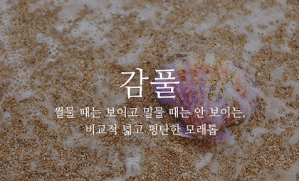 뜻이 이쁜 순우리말 모음.gif | 인스티즈