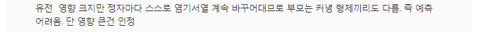 "성적이 쉽게 안 오르는 이유..IQ 절반은 유전자 탓" | 인스티즈
