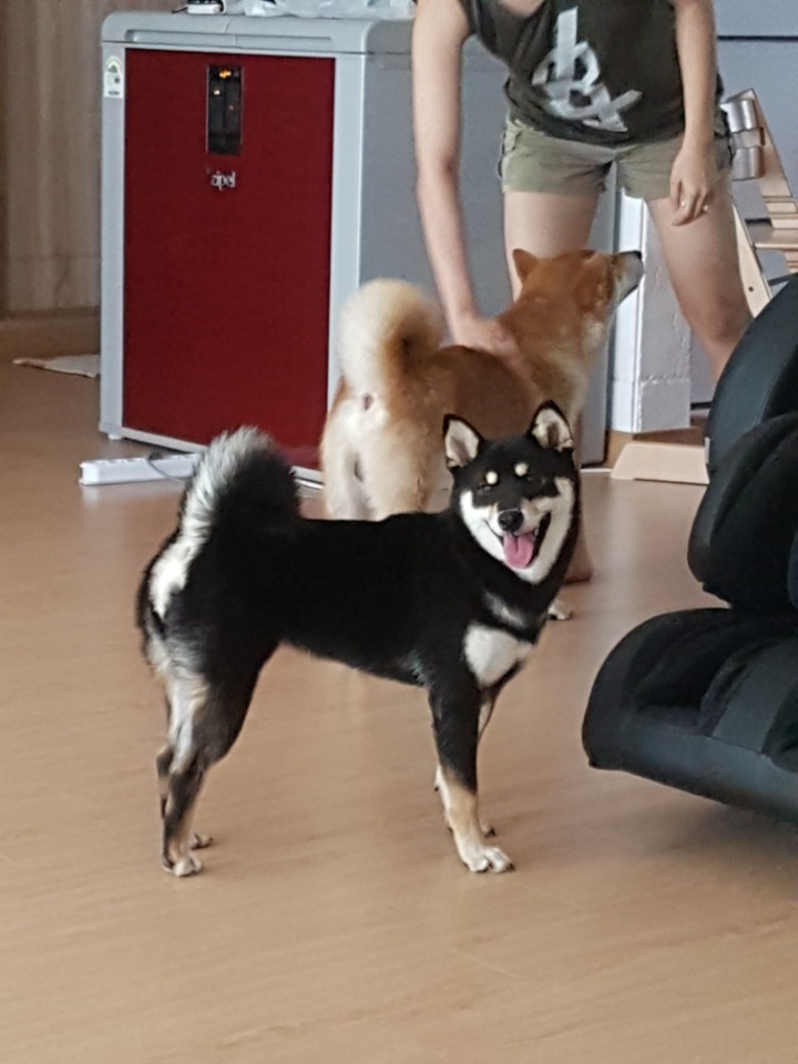 은애 이미지