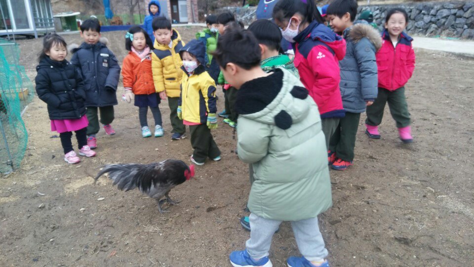 꿈밭유치원 이미지