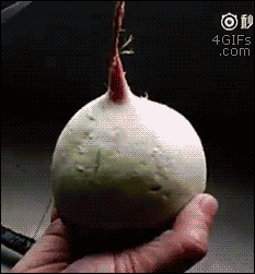 흔한 조각 방법.gif | 인스티즈