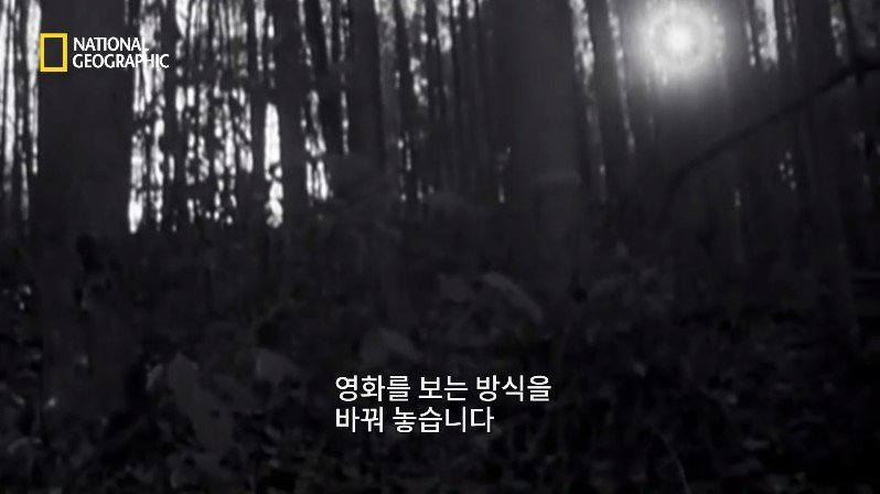 1999년, 새로운 장르의 공포영화가 인터넷을 통해 홍보되다 | 인스티즈