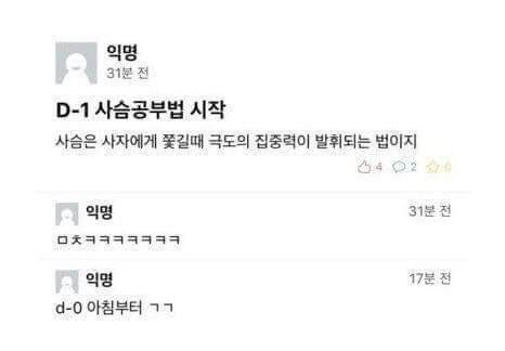 궁지에 몰린 대학생들이 창안해내고 있는 공부법.twt | 인스티즈