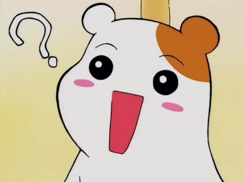 놀이기구 탈 때 서로 신기해하는거.jpg | 인스티즈