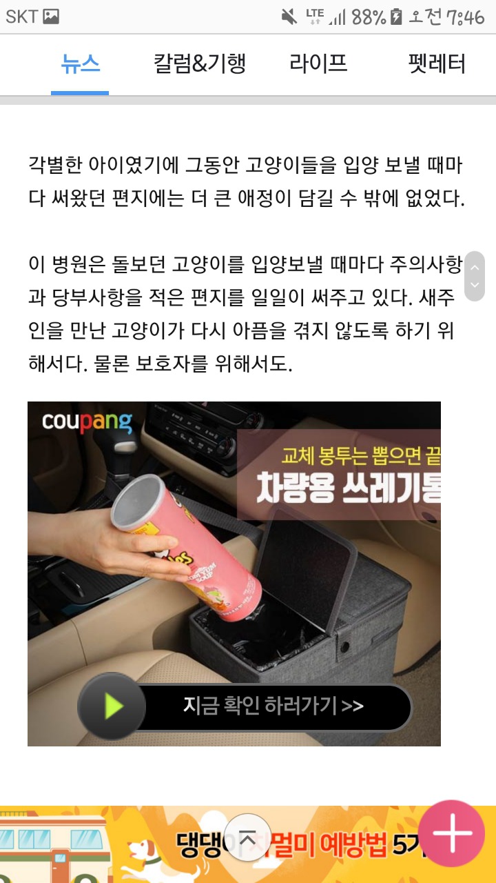 길고양이 입양한 보호자에 손편지 쓴 수의사 | 인스티즈