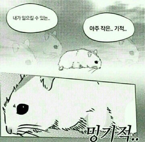 이** 이미지