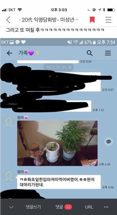 댕댕이가 어머님이 키우시는 산세베리아 뜯어먹음 | 인스티즈