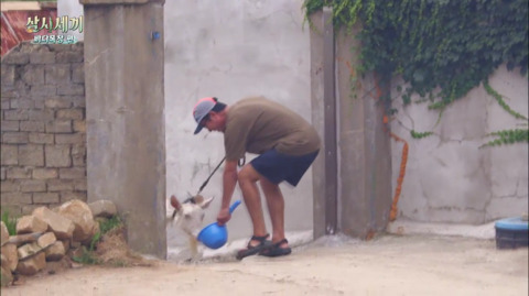 [삼시세끼] 처음 본 잭슨 때문에 놀라서 귱집사 팔 꼬옥 붙드는 고양이 쿵이.gif | 인스티즈