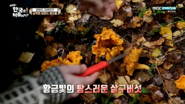 [어서와~한국은처음이지?] 핀란드 20대男들의 유흥문화 | 인스티즈