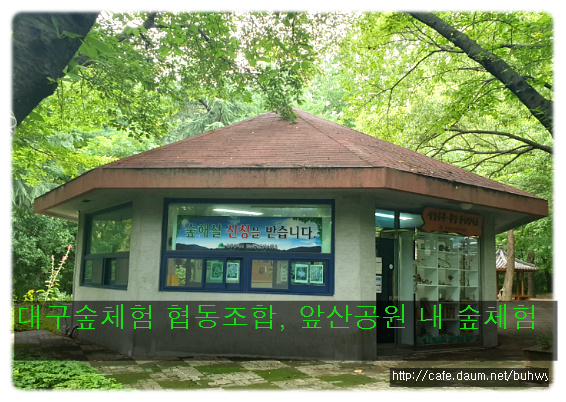 대구숲체험협동조합 이미지