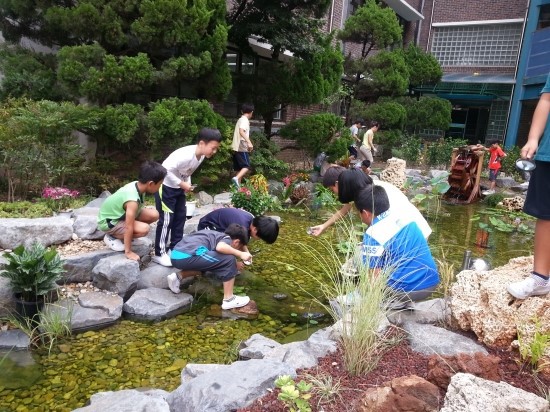 성원초등학교 이미지